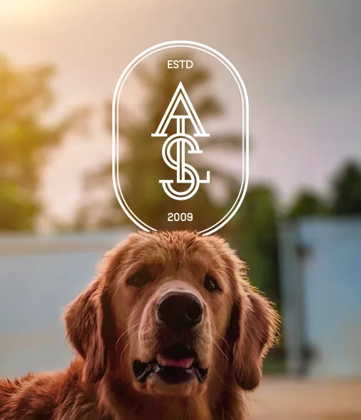 Veterinary API Division Aarambh Life Science
