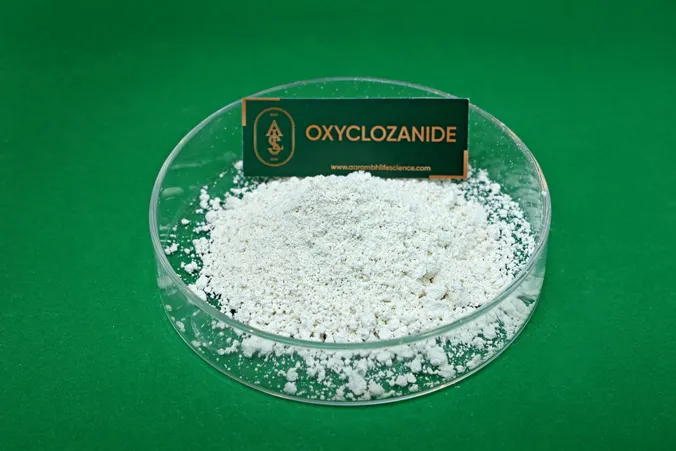 Oxyclozanide API Manufacturer and Supplier in India