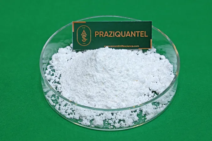 Praziquantel API Manufacturer and Supplier in India